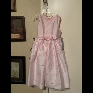 Beautiful New Pink Princess Dress